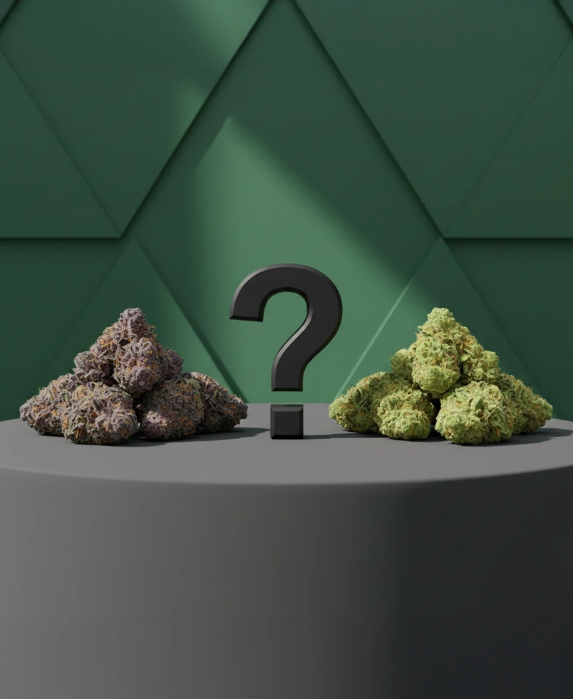 تفاوت نژاد گل ها در ماریجوانا و تی اچ سی